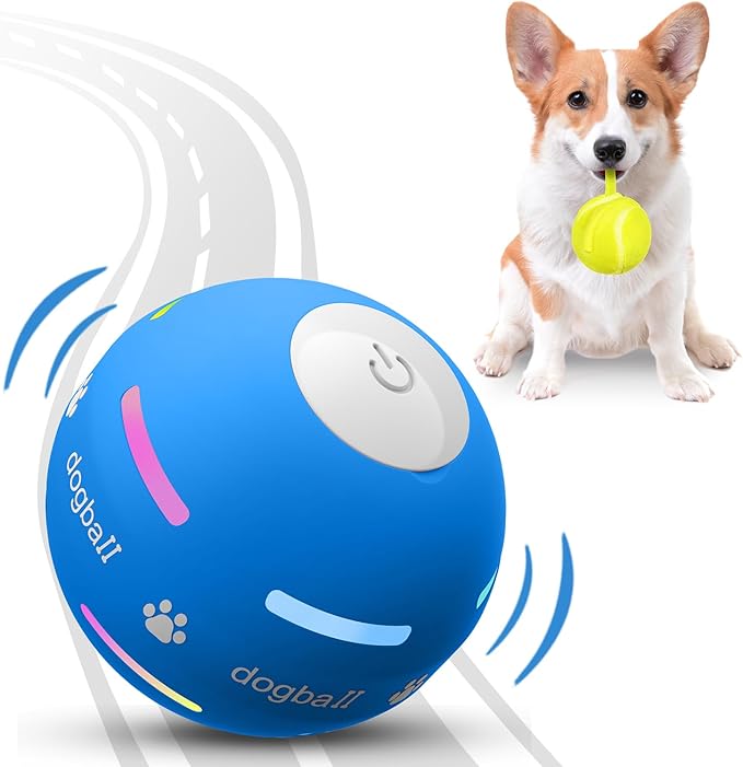 Dog Ball Interactive